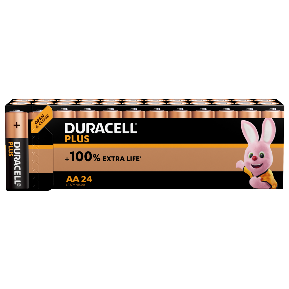 Piles Duracell AA Plus Power