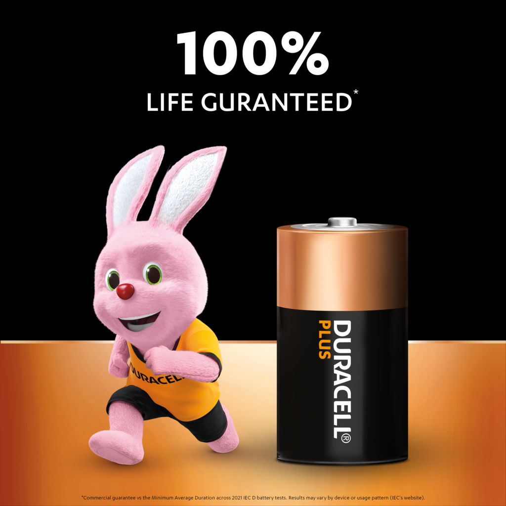 D Batteries - Duracell Plus Alkaline Batteries